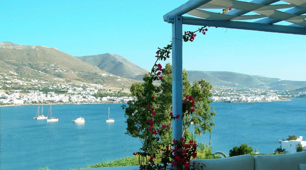 Paros Paradise Apartments Quarto foto